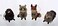 Kurt S. 35 to 6Inch Buri Woodland Animal Ornament Set 4 Assorted Styles