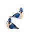 Kurt S. Blue Jay With Clip Ornaments 2 Assorted