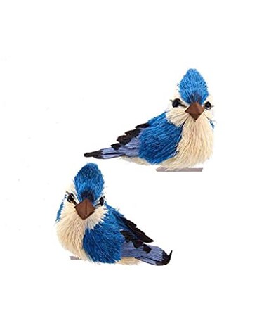 Kurt S. Blue Jay With Clip Ornaments 2 Assorted
