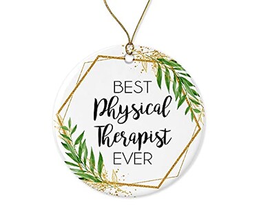 WolfeDesignPDD Physical Therapist Christmas Ornament Gift for Physical Therapist Worlds Best Physical Therapist Best Physical Therapist Ever Printed on Both Sides White
