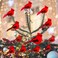 Berfutall Cardinal Clip On Christmas Tree Ornament Decorations Red Feathers Set of 12 Pieces Each is 28 LonA