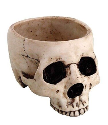 Pacific Giftware Skeleton Skull Medium Kitchen Bowl Figurine