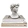 Banhey Greek Statue of David Head Bust for Mythology and Roman Home Decor