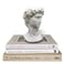 Banhey Greek Statue of David Head Bust for Mythology and Roman Home Decor