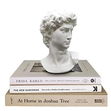Banhey Greek Statue of David Head Bust for Mythology and Roman Home Decor