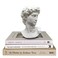 Banhey Greek Statue of David Head Bust for Mythology and Roman Home Decor