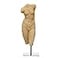 Creative Co-Op Creative CoOp Resin Female Body Figure on Metal Stand Plaster Finish