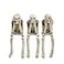 Newman House Studio Halloween Statues NoEvil Skeleton CollectibleFigurines Realistic Skull Decorations See Speak Hear No Evil Home Decor Set of 3 23L x 4W x 43H inch