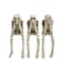 Newman House Studio Halloween Statues NoEvil Skeleton CollectibleFigurines Realistic Skull Decorations See Speak Hear No Evil Home Decor Set of 3 23L x 4W x 43H inch