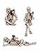 Dlfghos 3 Pieces Halloween Skeleton Statue Halloween Skull Figurine Home Decor Reading Skeleton Figurines Decorations for Indoor Fireplace Home Kitchen Desk Office Party