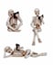 Dlfghos 3 Pieces Halloween Skeleton Statue Halloween Skull Figurine Home Decor Reading Skeleton Figurines Decorations for Indoor Fireplace Home Kitchen Desk Office Party