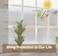 Jahoot Privacy Window Films Transparent Glass Tint Static Cling Treatment Reflects Rainbow Effect with Sunlight Home Protection and Decorative Heat Control UV Prevention Crystal Mosaic 1181 x 787