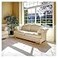 BDF S2M Window Film Clear UV Blocking 60in X 24ft