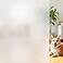 Coavas Frosted Glass Window Film Static Cling UV Heat Blocking