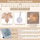 TOPLEE 3 Pack Fall Decor Fall Garland with Pumpkin LightsEnlarged Maples Leaves String Lights Pumpkin Decor 60LED Waterproof Battery Operated Halloween Thanksgiving Fall Decorations for Home Outdoor I