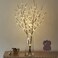 Birchlitland Lighted Brown Branches 32IN 100 LED with Timer Battery Operated Artificial Tree Branch with WarmWillow Branch Lights for Home Bedroom Fireplace Christmas Holiday Decoration