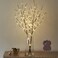 Birchlitland Lighted Brown Branches 32IN 100 LED with Timer Battery Operated Artificial Tree Branch with WarmWillow Branch Lights for Home Bedroom Fireplace Christmas Holiday Decoration