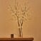 Birchlitland Lighted Brown Branches 32IN 100 LED with Timer Battery Operated Artificial Tree Branch with WarmWillow Branch Lights for Home Bedroom Fireplace Christmas Holiday Decoration