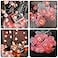 Gee Hut Birthday Decorations Rose Lights Wedding Decor Flower Fairy Lights Valentines Mothers Day Anniversary Proposal Birthday Party Decorations String Light 147FT 30LED Battery Operated Pink