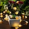 Decorman Natural Seashell String Lights 132ft 40 LED 8 Modes Warm White Weatherproof Battery Operated Ocean Theme Lights for Bedrooms Parties Weddings Gardens with Remote and Timer Natural Shell