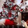 echosari 2 Pack Battery Operated Christmas Lights 16ft Green Wire 50 LED Fairy String Light with Remote Timer 8 Modes Dimmable for Indoor Outdoor Xmas Tree Wedding Party Decor Cool White