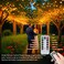 Ehome String Lights USB Fairy Lights Plug in 33 ft 100 LED Twinkle String Lights Silver Wire Lights with Remote and Timer 8 Modes Outdoor Indoor Waterproof Starry Lights DIY Party Wedding Orange