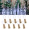 Etinga Wine Bottle Lights with Cork 20 LEDs 66 Feet Silver Wire Cork Bottle LightsFairy Mini String Lightsfor DIY Jar HalloweenChristmasPartyDecorWedding Listing 10 Pack Cool White