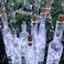 Etinga Wine Bottle Lights with Cork 20 LEDs 66 Feet Silver Wire Cork Bottle LightsFairy Mini String Lightsfor DIY Jar HalloweenChristmasPartyDecorWedding Listing 10 Pack Cool White