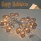 Gooyule Halloween String Lights Skull String Light Hallo ween Fall Fairy Light BatteryUSB Powered Optional 2 Modes Cute Lights 2026 Indoor Outdoor Decor for Home Yard Patio 30 LED Halloween String Lig