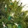 HOLIDAY TIME Holiday Time 100 Clear Mini Lights Green Wire 215 FT 3 Pack Bundle