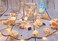 MIYA LIFE Seashell Garland Ocean Light for Beach Decor 72FT 39LED Battery Operated Coastal Garland Magic Conch Shell Beach Decorations for Home Coconut Girl Room Decor