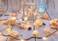 MIYA LIFE Seashell Garland Ocean Light for Beach Decor 72FT 39LED Battery Operated Coastal Garland Magic Conch Shell Beach Decorations for Home Coconut Girl Room Decor
