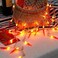 OKBA 2pack red Chili Pepper String Lights40 LED Pepper String lamp Indoor Kitchen Decor Outdoor Mexican Decorations Light Battery Powered for Chinese New YearHoliday PartyChristmas Home Decor