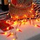 OKBA 2pack red Chili Pepper String Lights40 LED Pepper String lamp Indoor Kitchen Decor Outdoor Mexican Decorations Light Battery Powered for Chinese New YearHoliday PartyChristmas Home Decor