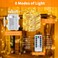 TingMiao Fairy Lights Battery Operated String Lights with Remote Control Timer 33Ft 100 LED Waterproof 8 Modes Copper Wire Warm White Twinkle String Lights for Christmas Warm White 1Pack