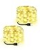 Blingstar USB Powered Fairy Lights 2 Pack 33Ft 100 LED Flexible Silver Wire Mini String Lights for Christmas TreeBedroomCampingHoliday Indoor Decoration Warm White