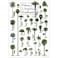 Earth Sky Water Palms Cycads of the American Southeast Posters
