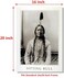 Impact Posters Sitting Bull Native American Indian Chief Wall Decor Art Print Poster 16x20