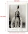 Impact Posters Sitting Bull Native American Indian Chief Wall Decor Art Print Poster 16x20