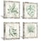 Hardy Gallery Green Leaves Prints Wall Art Rustic Wooden Background Palm Tree Leaf Simple Life Painting for Bathroom Wall Decor 12 X 12 X 4