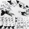 Ewong 3D Butterfly Wall Decor 66Pcs Black Butterfly Decoration Party Cake Decorations Removable Waterproof Wall Decal Birthday Home Room Decor Bathroom Bedroom Sticker Murals