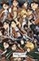 Trends International Attack on Titan Collage Wall Poster 22375 x 34 Unframed Version