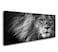 Baisuart Canvas Prints Wall Art Grey lion Stretched Canvas Wooden Framed for living Room Bedroom and Office