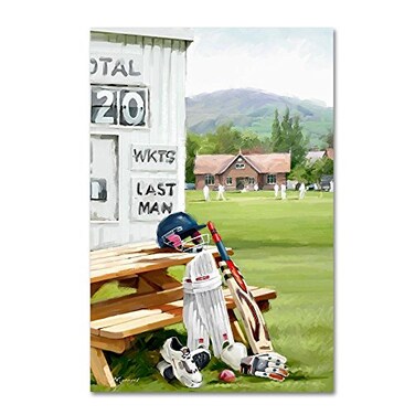 Trademark Fine Art ALI8986C2232GG Canvas Art