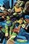 Trends International Nickelodeon Teenage Mutant Ninja Turtles Attack Wall Poster 14725 x 22375 Premium Unframed Version