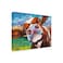 Trademark Fine Wrapped Canvas Wall Art Carolee Vitaletti Curious Cow I Wall Art for Living Room Bedroom or Office Dcor 14x19