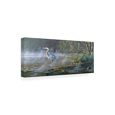 Trademark Fine Wrapped Canvas Wall Art Wilhelm Goebel Quiet Cove Great Blue Heron Wall Art for Living Room Bedroom or Office Dcor 8x19