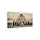 Trademark Fine Wrapped Canvas Wall Art Phburchett Deep Sleep Wall Art for Living Room Bedroom or Office Dcor 12x24