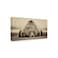 Trademark Fine Wrapped Canvas Wall Art Phburchett Deep Sleep Wall Art for Living Room Bedroom or Office Dcor 12x24