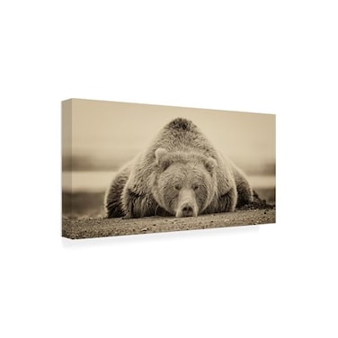 Trademark Fine Wrapped Canvas Wall Art Phburchett Deep Sleep Wall Art for Living Room Bedroom or Office Dcor 12x24